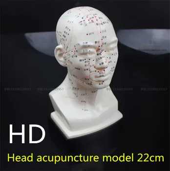meditsiinilise Pea nõelravi mudel 22cm high definition nägu Näo Acupoint Akupunktuuri punkti mudel Pea nõelravi õpetamise mudel